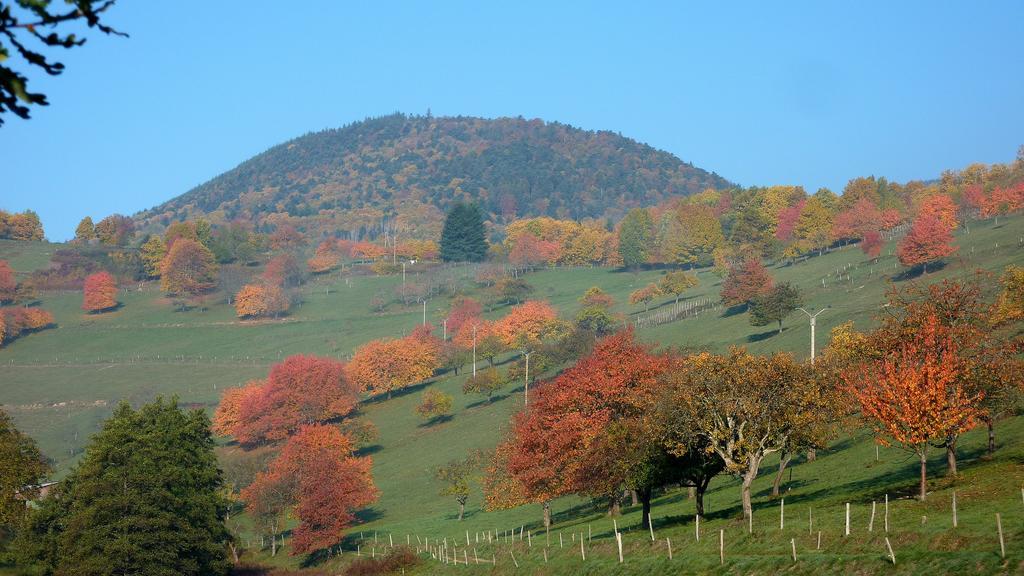 Gite Schlitteur Et Sapiniere Breitenbach ภายนอก รูปภาพ