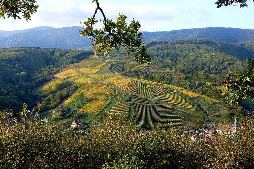 Gite Schlitteur Et Sapiniere Breitenbach ภายนอก รูปภาพ