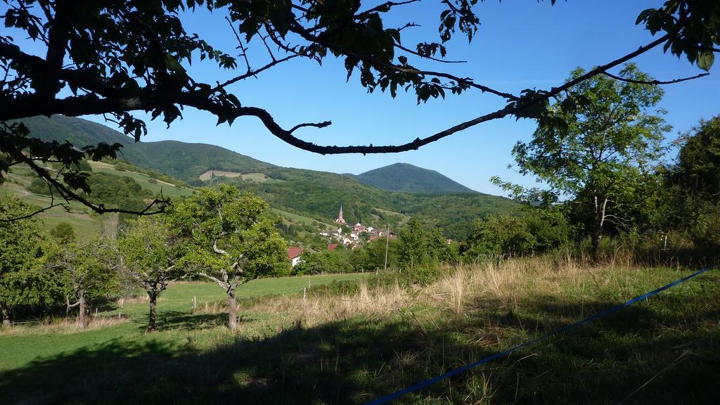 Gite Schlitteur Et Sapiniere Breitenbach ภายนอก รูปภาพ