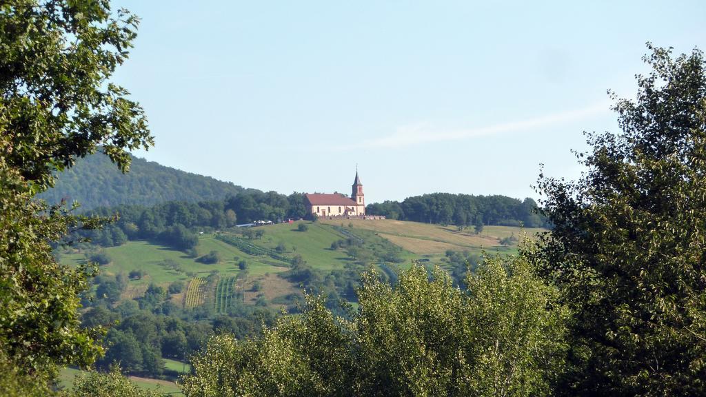 Gite Schlitteur Et Sapiniere Breitenbach ภายนอก รูปภาพ