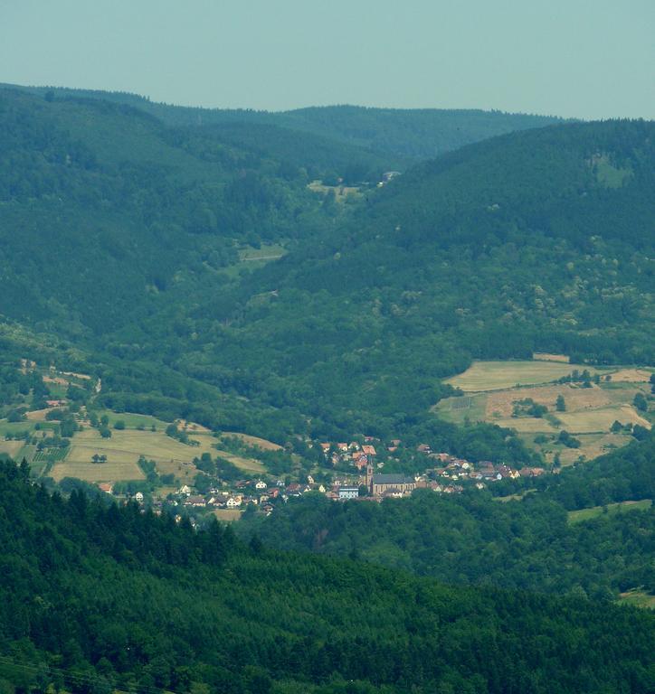 Gite Schlitteur Et Sapiniere Breitenbach ภายนอก รูปภาพ