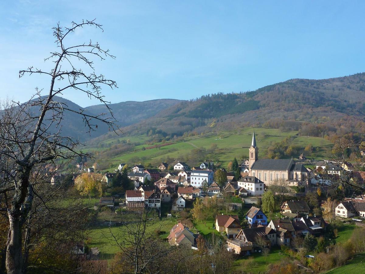 Gite Schlitteur Et Sapiniere Breitenbach ภายนอก รูปภาพ