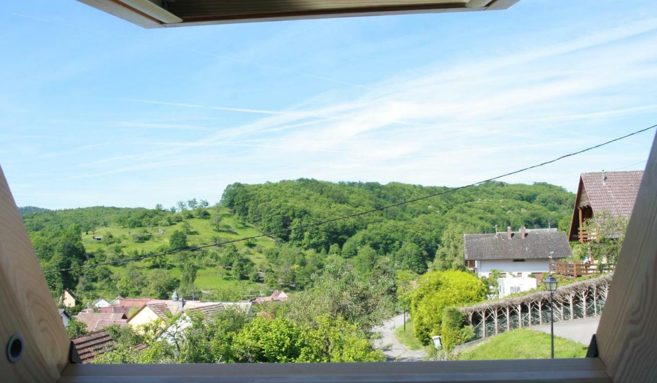 Gite Schlitteur Et Sapiniere Breitenbach ภายนอก รูปภาพ