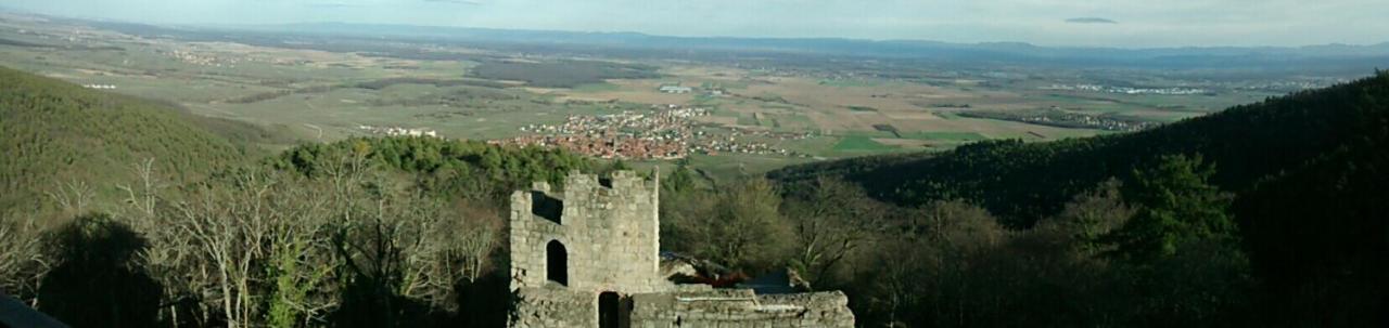 Gite Schlitteur Et Sapiniere Breitenbach ภายนอก รูปภาพ
